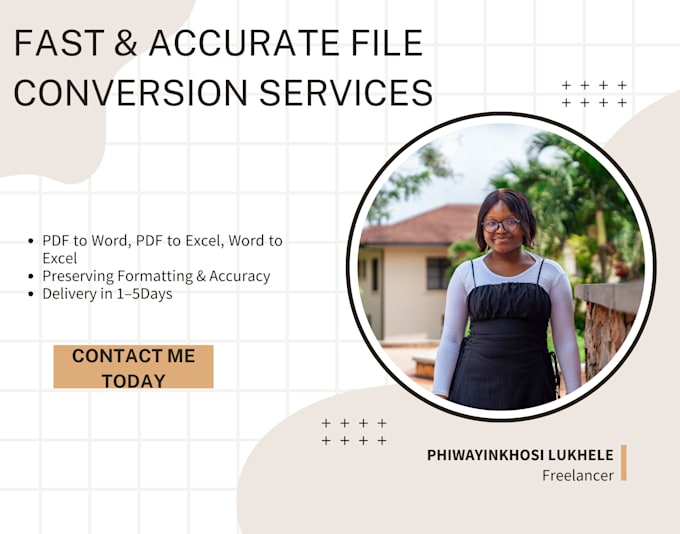 Gig Preview - Handle your file conversions and data entry professionally