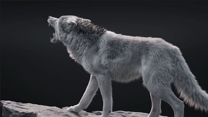 Gig Preview - Integrate 3d animal animation, cgi animal model, fur, groom vfx animal for film