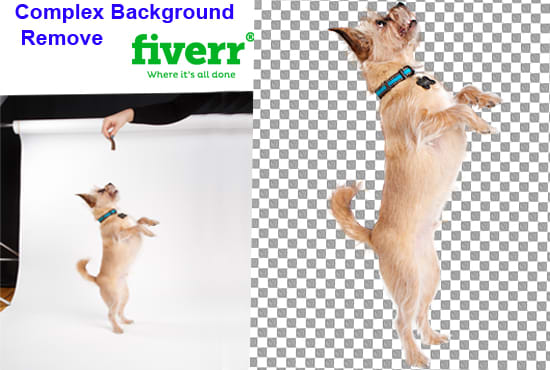 Gig Preview - Do any complex background remove professionally