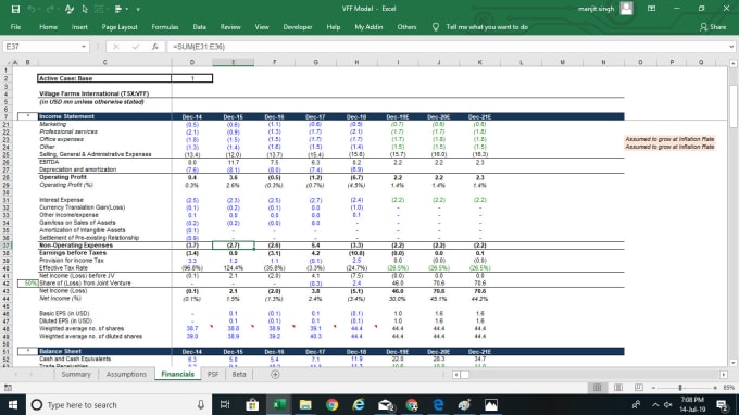 Gig Preview - Expert lbo financial modeler,  business plan and startup pitch deck creator