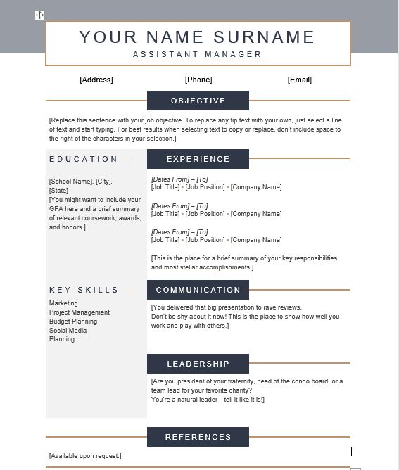 Gig Preview - Write professional, mid career and entry level cv, resumes and cover letter