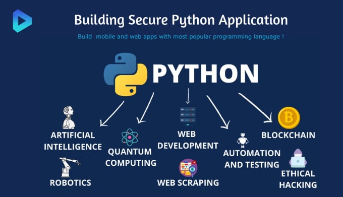 Gig Preview - Be your best python coder