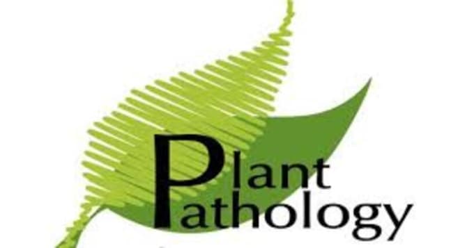 Gig Preview - Deal with plant pathology