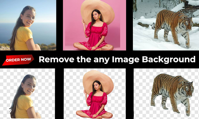 Bestseller - remove any image background