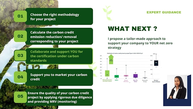 Gig Preview - Model your carbon credit project