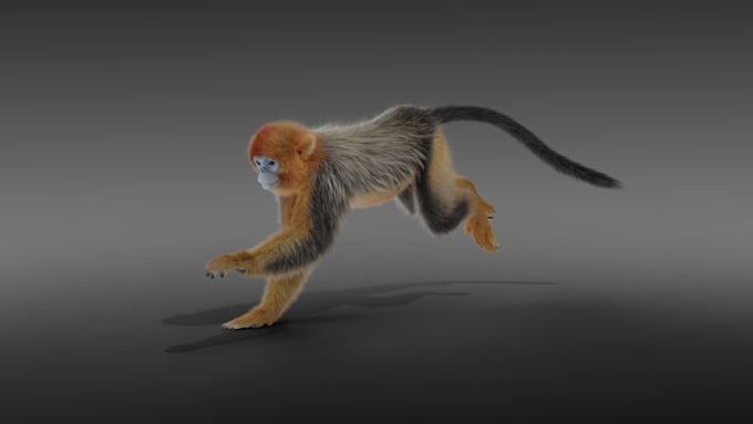 Gig Preview - Integrate 3d animal animation, cgi animal model, xgen fur, vfx, groom hair