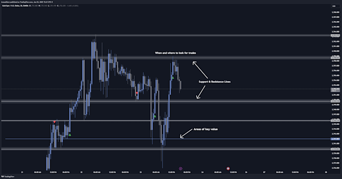 Gig Preview - Teach in depth live forex commodity trading