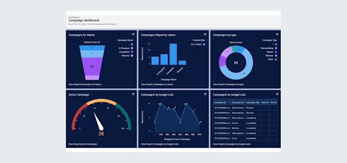 Gig Preview - Create a professional salesforce report and dashboard