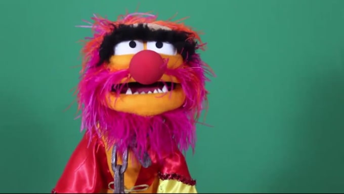 Record puppet video about anything with animal from the muppets by Ashkent7