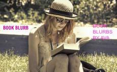 write a book blurb