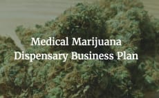 Medical marijunana business plan
