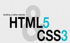 subircoder420 | Web & Mobile Design, Web Programming | Fiverr