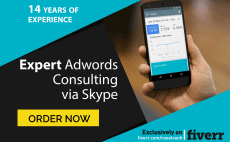 provide EXPERT Google Adwords Consulting via Skype