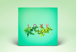 Een ontwerp voor een album cover door designers van albumhoezen - Fiverr