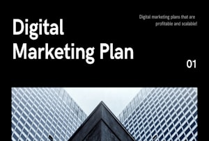 provide a profitable digital marketing plan and strategy