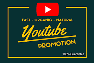 Youtube Marketing Promotion Services By Youtube Marketers Fiverr - black and yellow roblox music code youtube