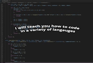 tutor programming in a wide variety of languages
