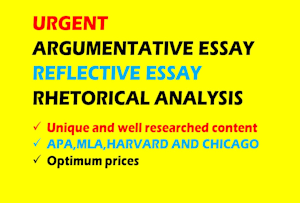rhetorical analysis essay proofreading website online