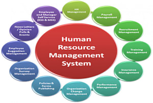 编写人力资源开发的政策和程序