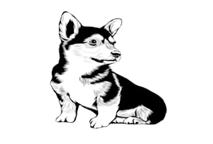 create custom royal pet portrait oil painting for your pet