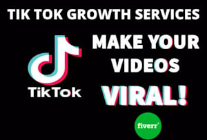 在Tiktok推广您的Tiktok视频