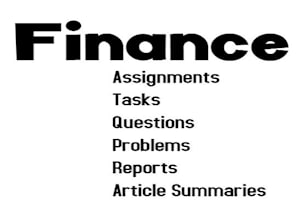 协助会计、财务分配、报告、任务和项目
