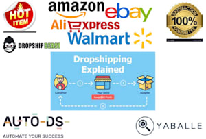 24 Best aliexpress dropship Services To Buy Online | Fiverr