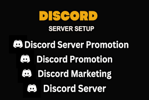 Setup custom professional discord server for you by Filipez803