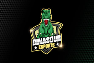 hatschi esport logo valorant