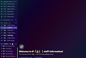 Setup custom professional discord server for you by Filipez803