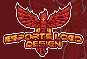 hatschi esport logo valorant