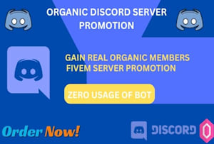 Promote your discord server, fivem server, minecraft server by  Davies_fred061