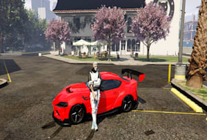 Custom GTA V Mods & Roleplay Servers by Experts