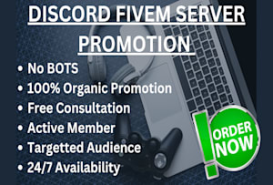 Promote your discord server, fivem server, minecraft server by  Davies_fred061