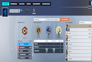 Dotmacak: I will make yourself a better overwatch player, or a better team  for $5 on fiverr.com