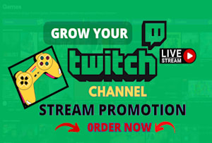 24 Best  Twitch Services To Buy Online