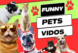 Funny Animal Videos!!