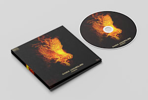 Een ontwerp voor een album cover door designers van albumhoezen - Fiverr