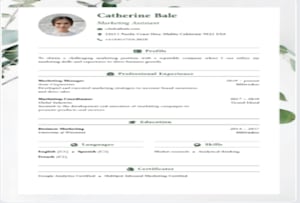 Page 2 - 24 Best Career Counseling Services To Buy Online | Fiverr
