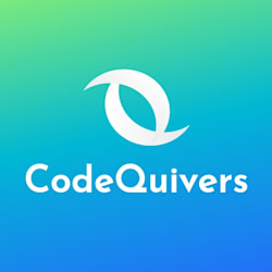 Code Quivers