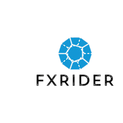 Daily forex advice