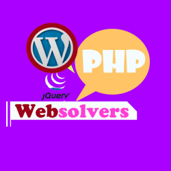 websolvers