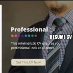 fiverr harvard cv