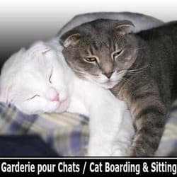 Engrave A Personalized Pet Tag Paw Shape For Your Cat Or Dog By
