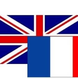 Translate 140 Words From English To French And Vice Versa By Alexmgt