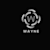Wayne T
