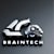 Brain T