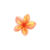 Mio O