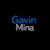 Gavin Mina