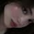 Hanae T